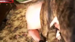 Откровенная русская порнуха для любителей зоо порно