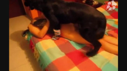 Зоофилка из Бразилии попробовала поебаться с собакой